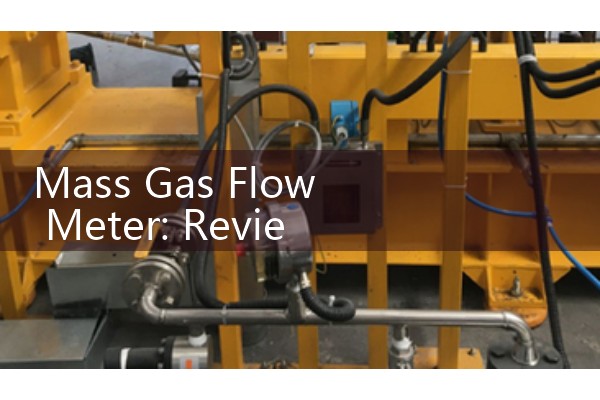 Vortex flowmeter model